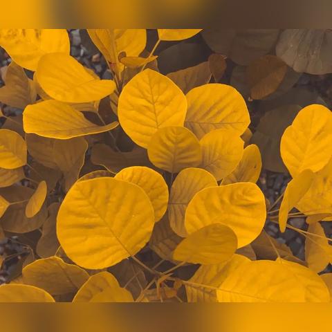 临沂市中梁地产的长尾关键词有什么