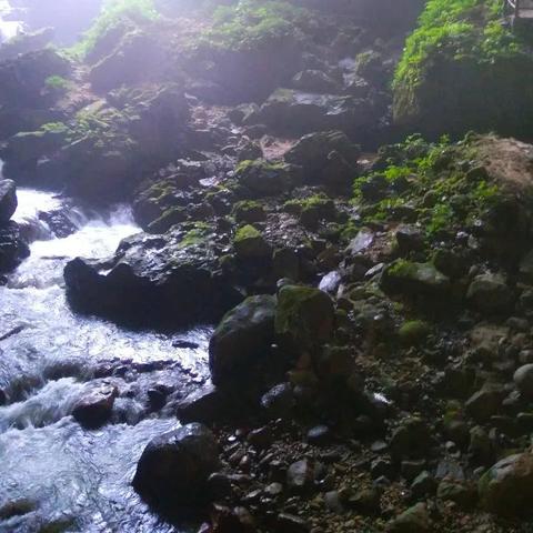 桂林智神招聘信息相关长尾关键词有哪些