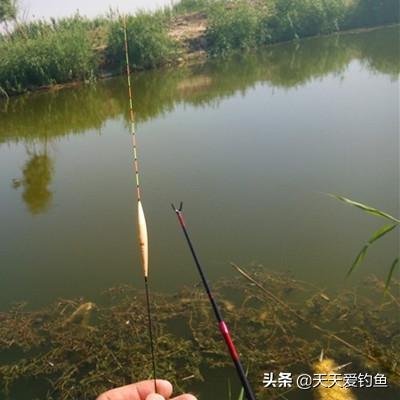 足球运动员脚大吗现在的长尾关键词有哪些