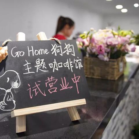 无锡市抓狗现场在哪里啊