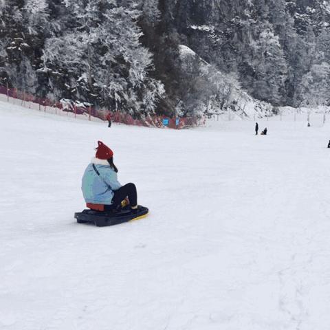 成都市下雪没下雪怎么办