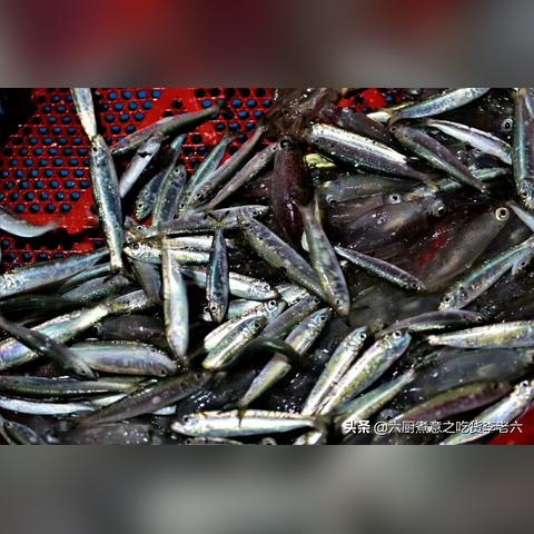 干鱿鱼汤的做法大全的长尾关键词有哪些