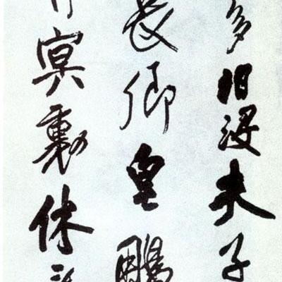 生肖猪在丁亥年运势(猪丁亥是什么意思)