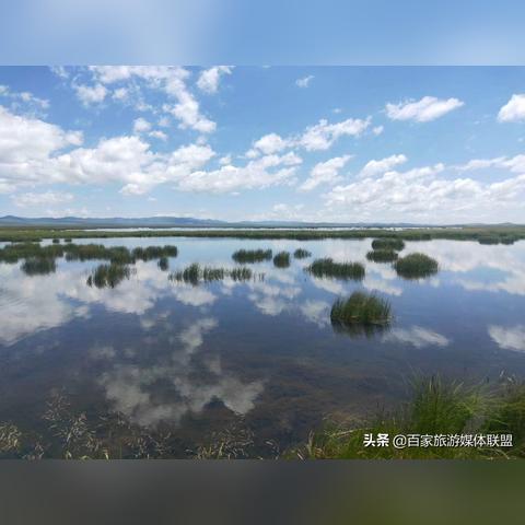 若尔盖下雨怎么办