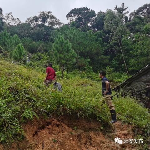 云浮云安区天气预报的长尾关键词有哪些