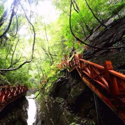 河南保康有什么好玩的