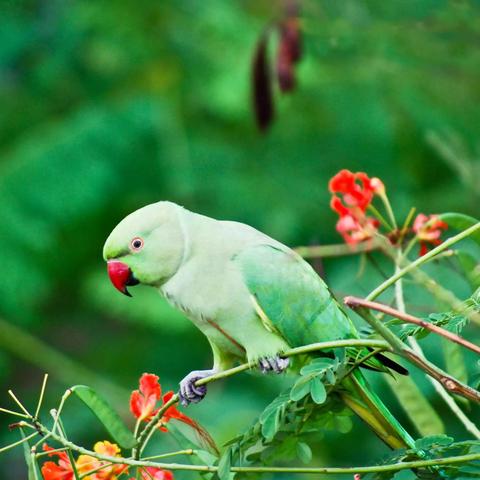 广州超世纪相关长尾关键词有哪些