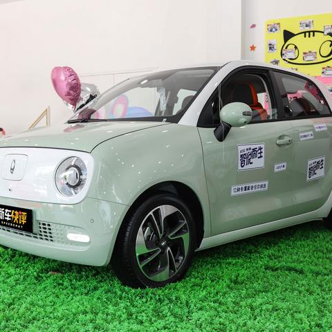 【天津个人欧拉黑猫】相关长尾关键词有哪些