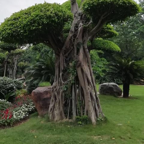 南宁哪个公园最好玩？