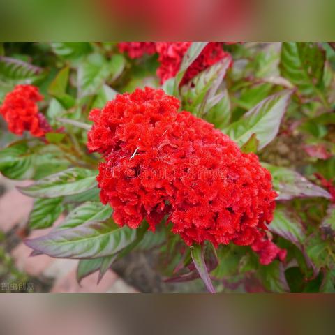 河南也有山的相关长尾关键词有哪些