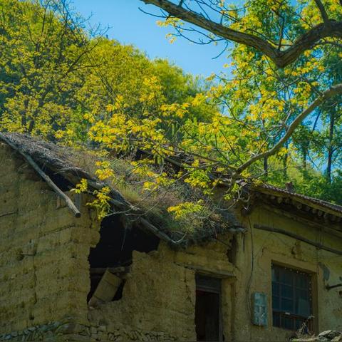 西安电表怎么看剩余电量？