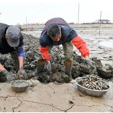 宁波市宁海长街属于哪个区