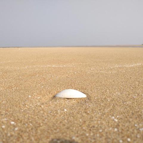 苏州市和连云港哪个好点