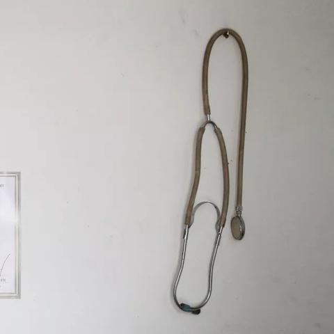 河南成人高考培训哪个好