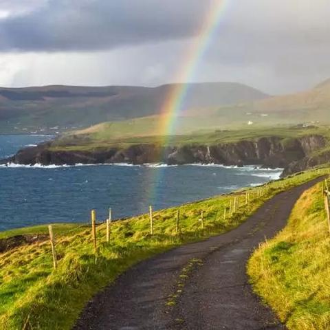 waterlife绿药水使用方法？