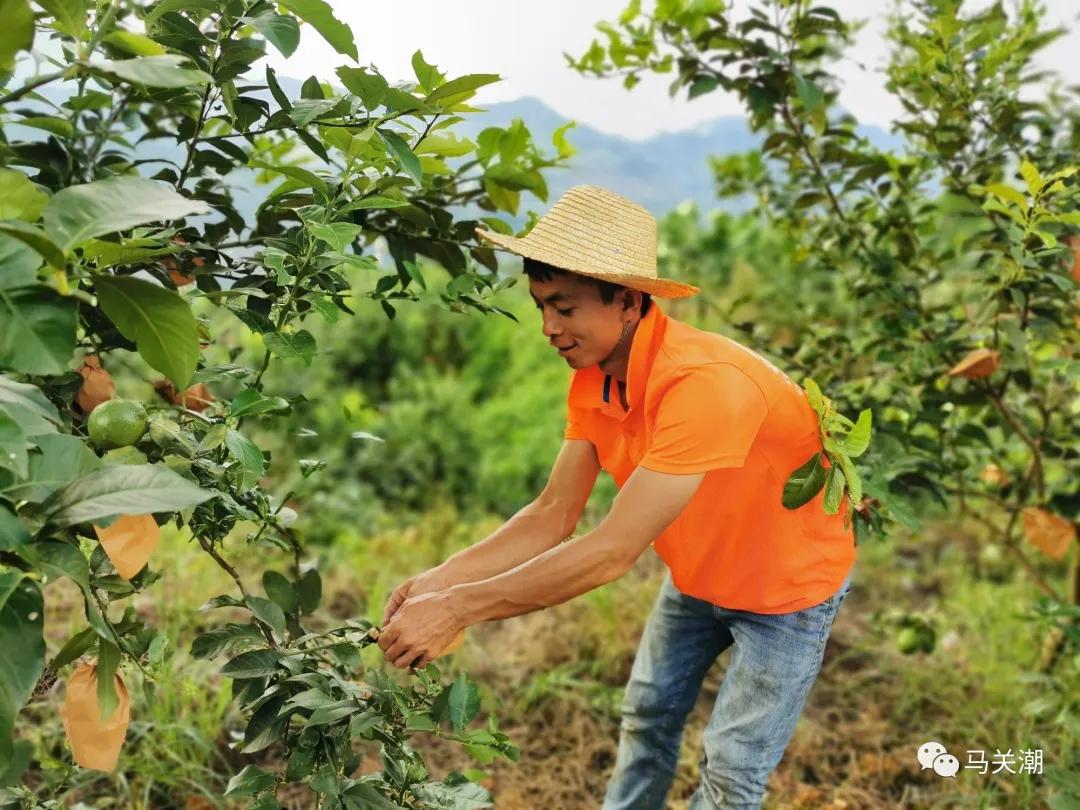 柑橘 檸檬種植手藝員工做_你和比本身小的男生暗昧過嗎