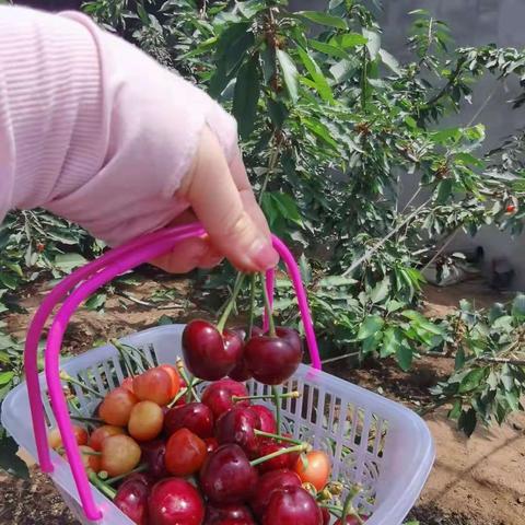 沈阳市哪个地方能烧烤