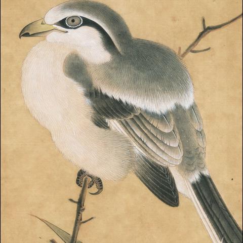 西安丝按相关长尾关键词有哪些