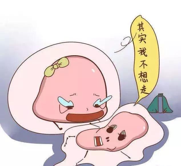 B超监测排卵