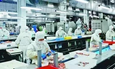 想要高质量的农业发展？三大方向帮你解决创业难题！
