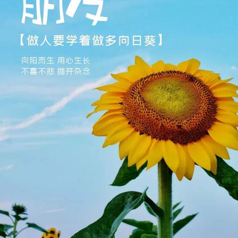 每日生肖8月19日运势(2021年8月19日今日生肖运势)