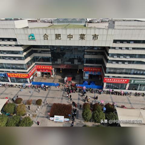 合肥市中菜市在什么地方