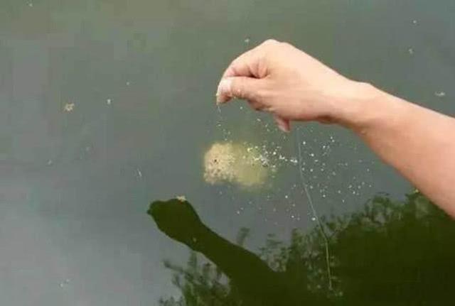 孩子吃桂圆和虾有什么危害