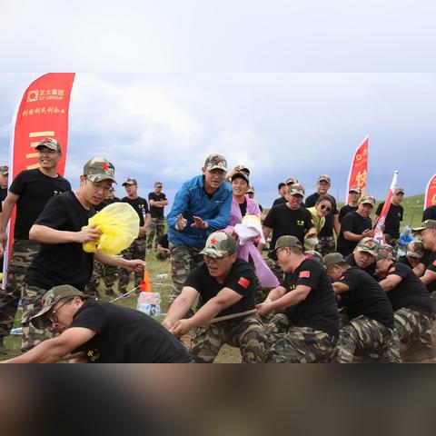 哈尔滨正大饲料电话相关长尾关键词有哪些