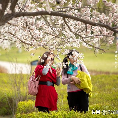 在长春市的印象餐厅的长尾关键词有哪些