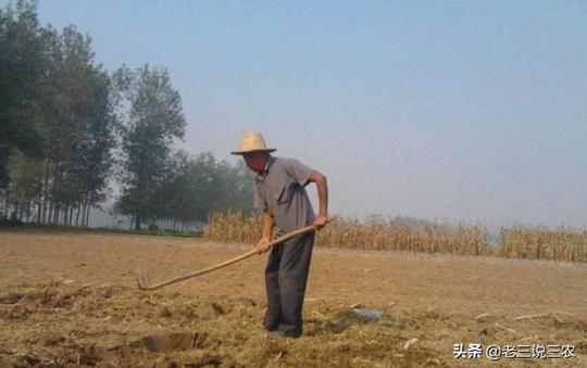 内行人犁地，不是越深越好，记住这3招，省钱省力又增产，能挣钱