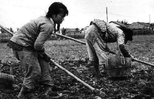 1970年，那位拒绝上北大、坚持一生在农村的女知青，后来怎样了？