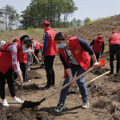 沈阳市的中心在哪个区