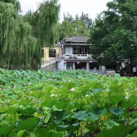 西安有几家手绘工作室？有详细资料没？