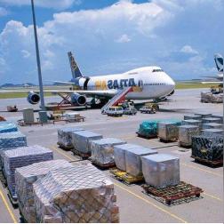 龙岗亚马逊跨境海运招聘的相关长尾关键词有什么