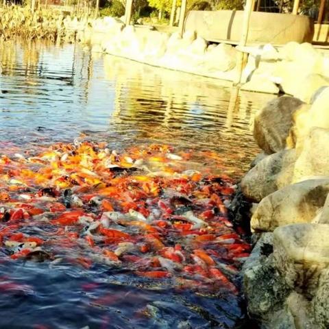 老四季沈阳怎么吃相关长尾关键词有哪些