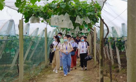 2021年鄂州市创业沙龙第四期“乡村振兴电商助力”成功举办