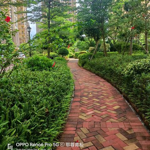 宁波市景家园是什么街道