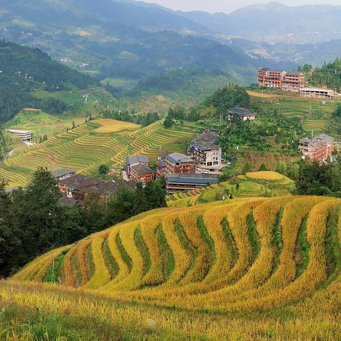 桂林市大寨村是哪个县城