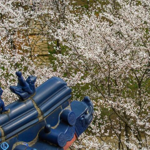 无锡市鼋头渚公园在哪里