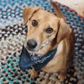 宝宝康复训练是做什么的长尾关键词是什么