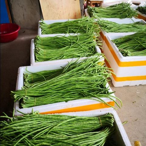 南宁市江西中学好吗？