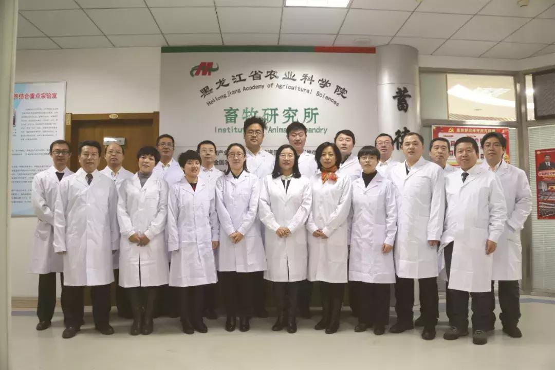 饲料小论文父母就有底气你怎么看