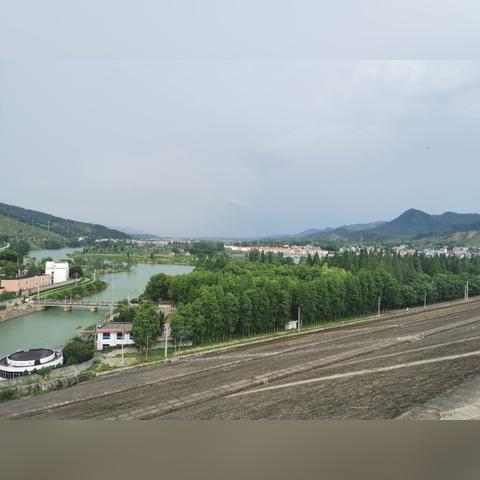 阳新属于武汉市的哪个区