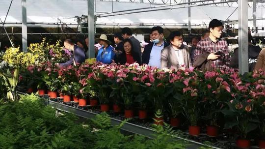 鄂州市委党校组织县级干部进修班学员到华容区台湾农民创业实验园开展现场教学