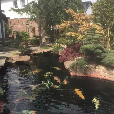 合肥泛时光相关长尾关键词有哪些