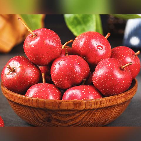 河南现代化冷库怎么样