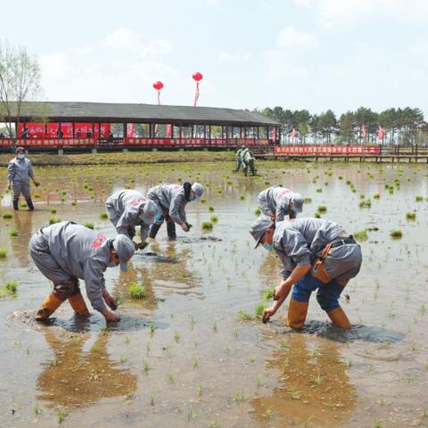 水田新村防疫做得怎么样？有人了解吗？