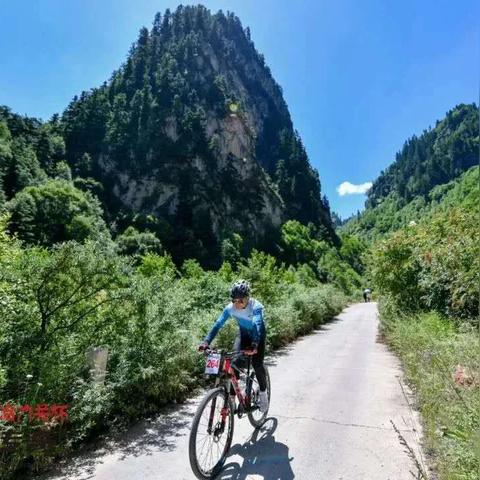 曲靖到长沙火车经过哪些站？