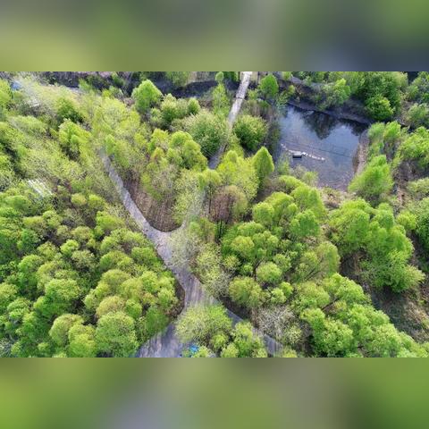 永顺桑植天气预报的长尾关键词有哪些