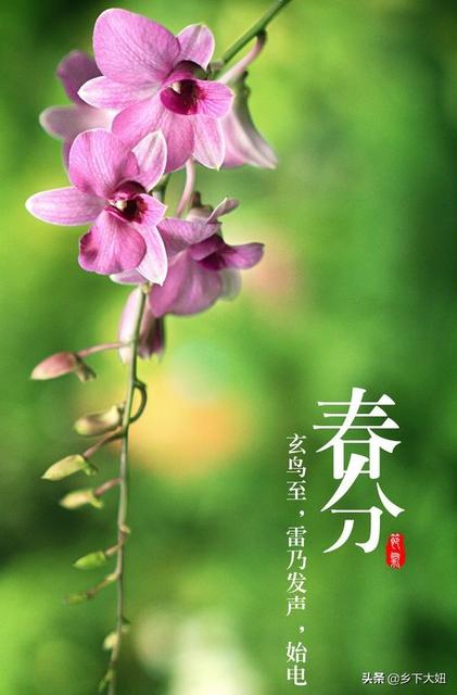 2021春分日早安心语文案